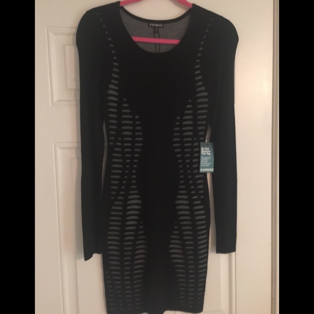 Express sweater dress
